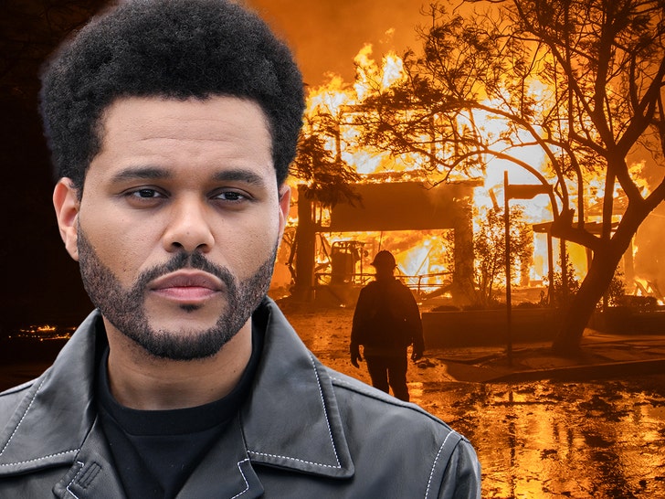 The Weeknd Donates $1 Million for L.A. Wildfire Reduction