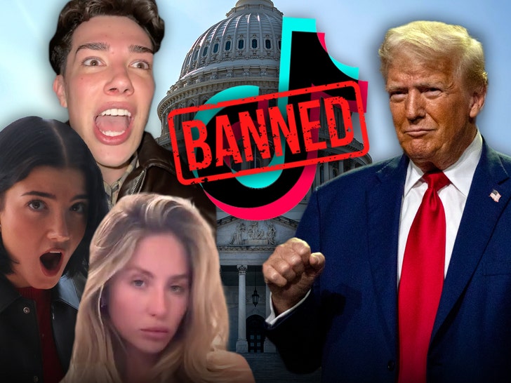 TikTok Stars React to U.S. Ban As Donald Trump Declares ‘Save TikTok!’