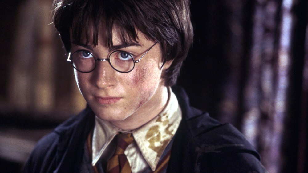 Harry Potter Director Chris Columbus Defends HBO TV Collection