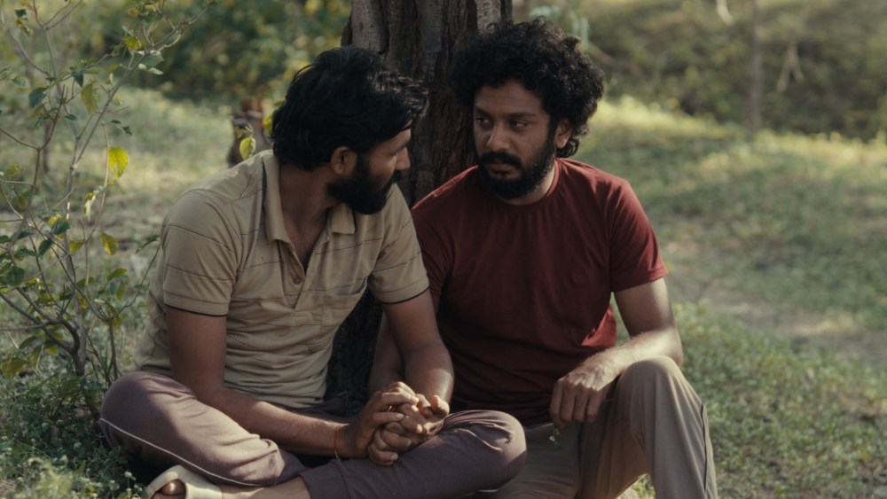 Sundance-Sure Indian LGBTQ Drama ‘Cactus Pears’ Lands MPM for Gross sales