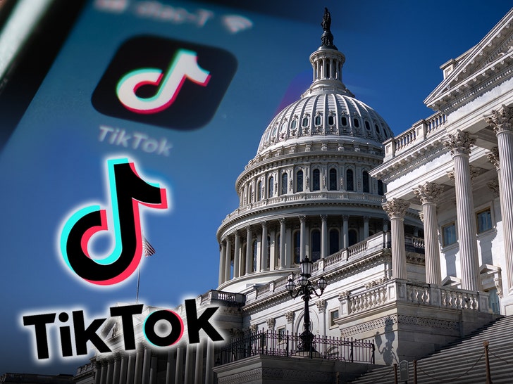 TikTok Restoring U.S. Service After Donald Trump Stated He’d Convey App Again
