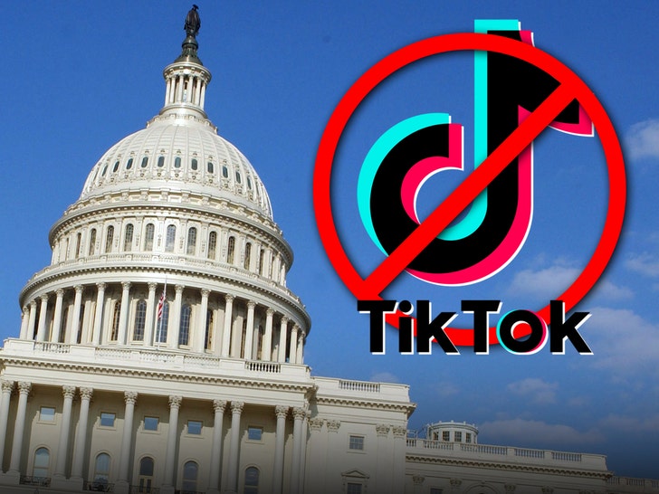 TikTok Goes Darkish for 170 Million People After Ban Takes Impact