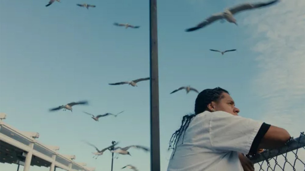 A Vibrant Drama within the Dominican Bronx