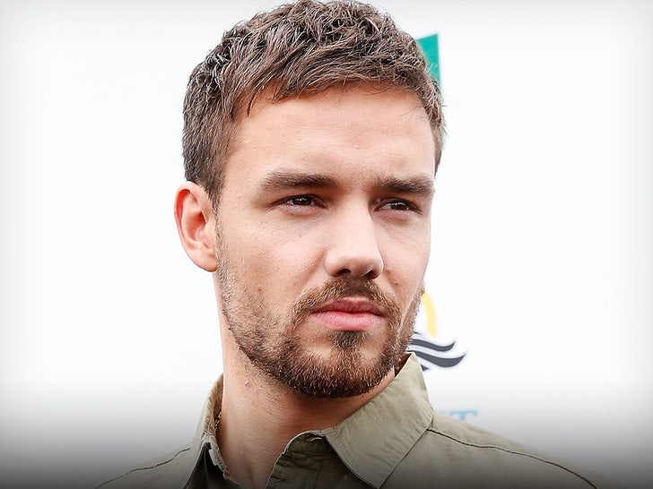 Liam Payne’s Alcohol Proportion at Time of His Dying Revealed