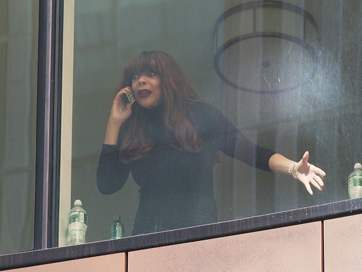 Wendy Williams Indicators Authorized Doc to Finish Guardianship