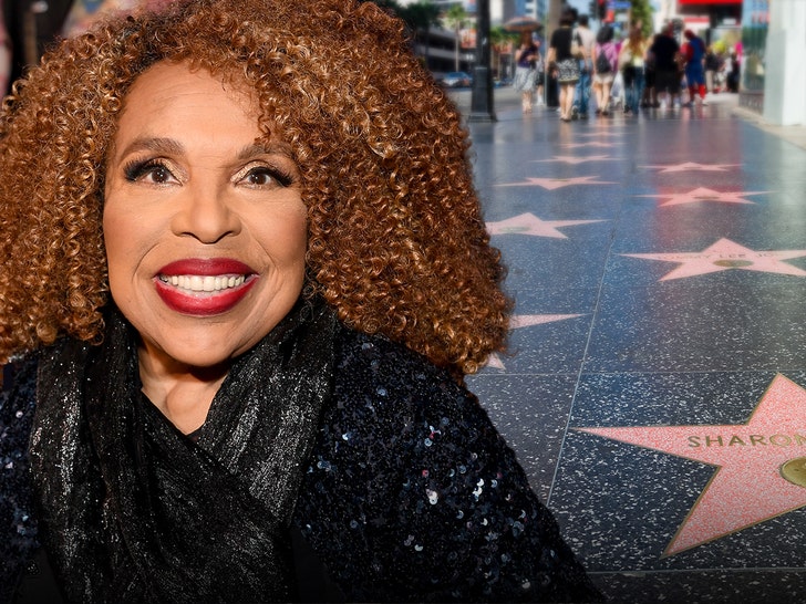 Roberta Flack Chosen for Stroll of Fame in 1999, By no means Set Date for Unveiling