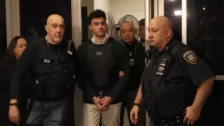 Luigi Mangione Seems In Courtroom In CEO Homicide Case