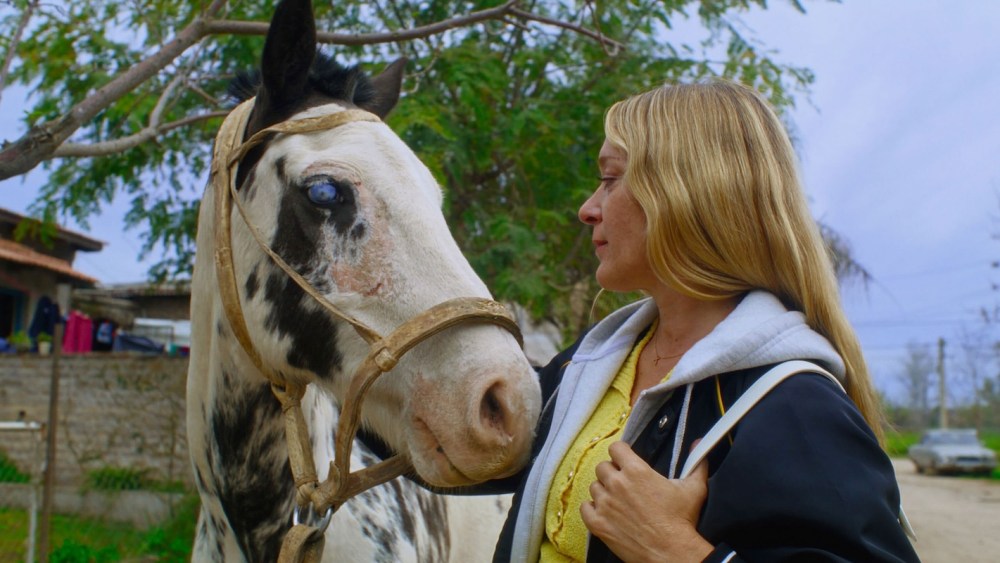 Los Angeles Competition of Films Lineup: ‘Magic Farm,’ ‘Room Temperature’
