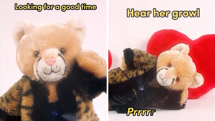 Construct-A-Bear Cougar Giving Bianca Censori Run for Her Cash