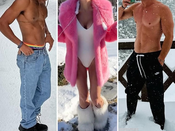 Horny Stars In Snow — Guess Who!