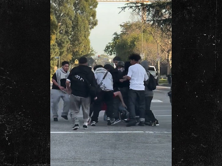 Horrifying Video Exhibits Teenagers Savagely Beating Man in Road