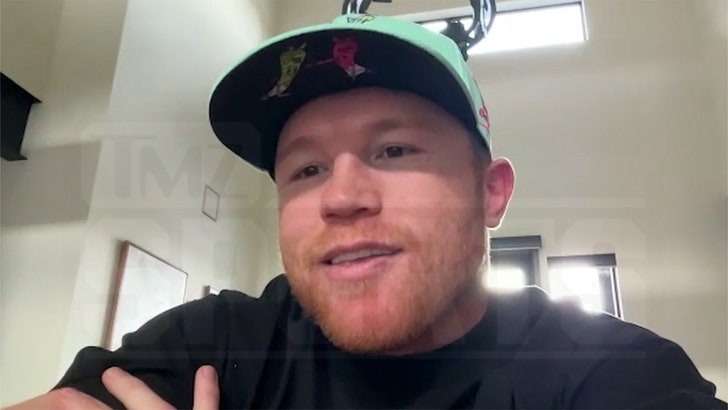 Canelo Alvarez Presents Jake Paul Marriage Recommendation After Engagement