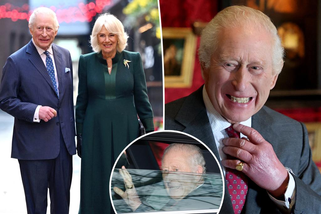 King Charles III returns to work following hospitalization