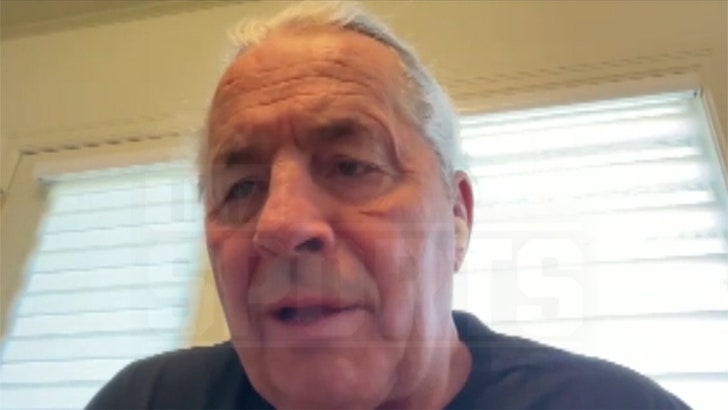 WWE Legend Bret Hart Rips Hulk Hogan, All the time Been a Liar!
