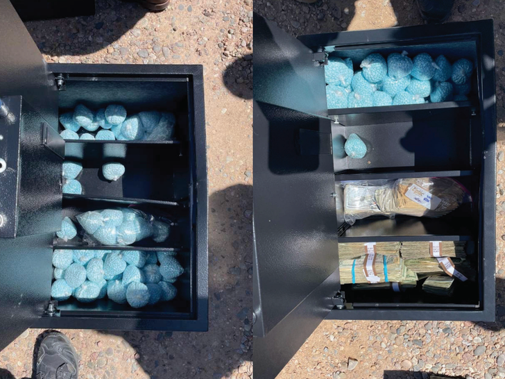 DEA Flaunts Historic Fentanyl Bust, Says Weapons, Hundreds of thousands of {Dollars} Additionally Seized