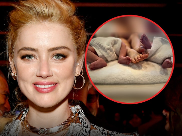 Amber Heard Welcomes Twins, Expands Her Household