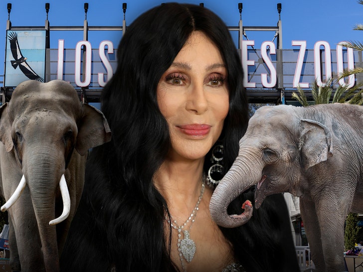 Cher Says L.A. Zoo Elephants Billy & Tina Have Achieved Their Time, Ought to Be Free