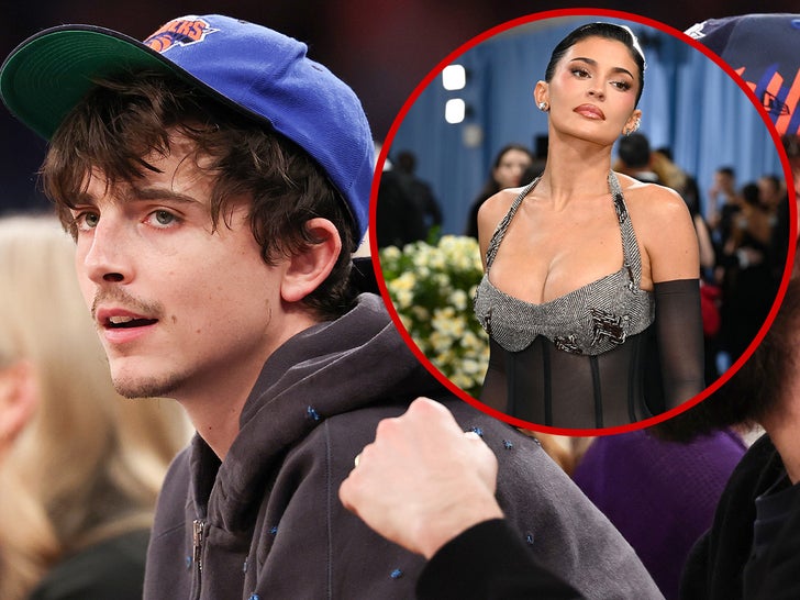 Timothée Chalamet Skips Met Gala to Watch New York Knicks Playoff Recreation