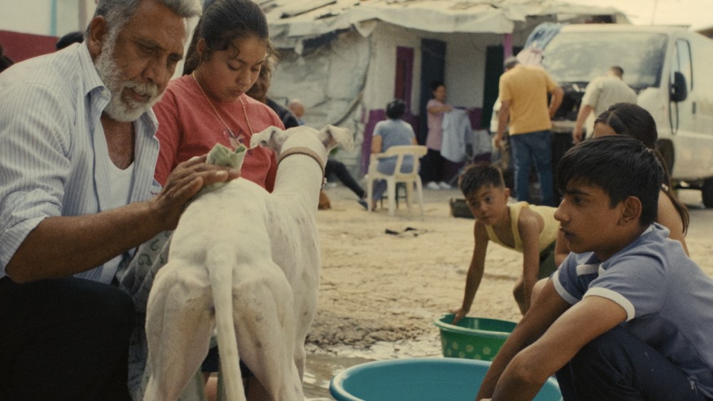 Guillermo Galoe on ‘Sleepless Metropolis’ in Cannes Critics’ Week