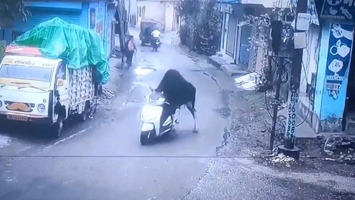 Scooter-Stealing Bull Goes for Joyride in India, on Video