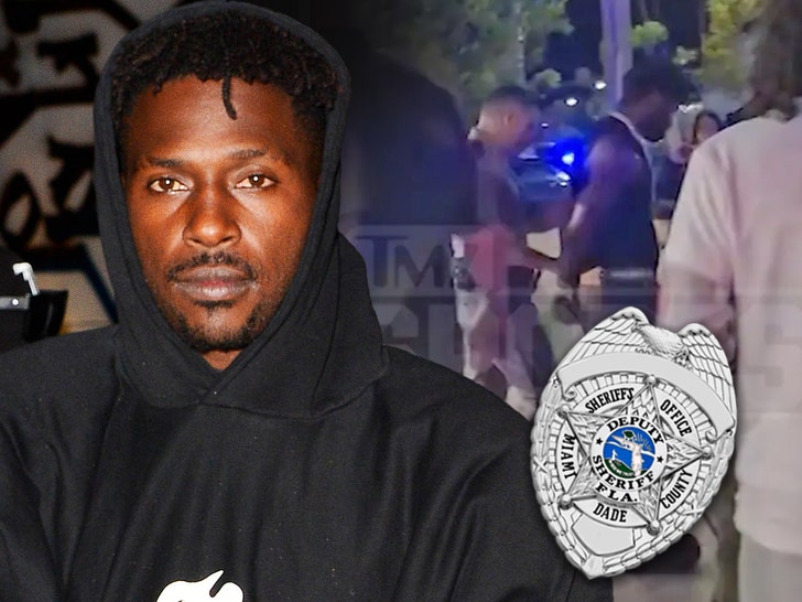 Antonio Brown Needed for Tried Homicide at Miami Boxing Occasion