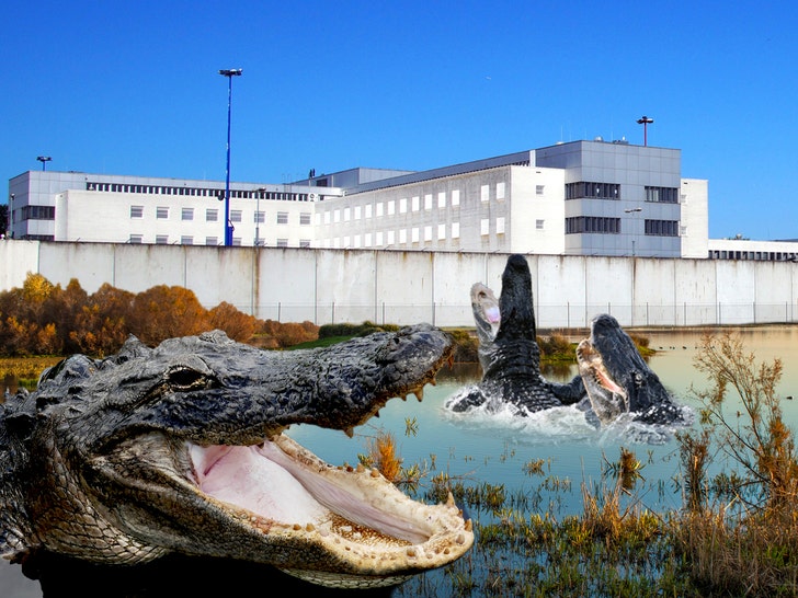 Florida A.G. Affords Up ‘Alligator Alcatraz’ in Everglades to Maintain Immigrants