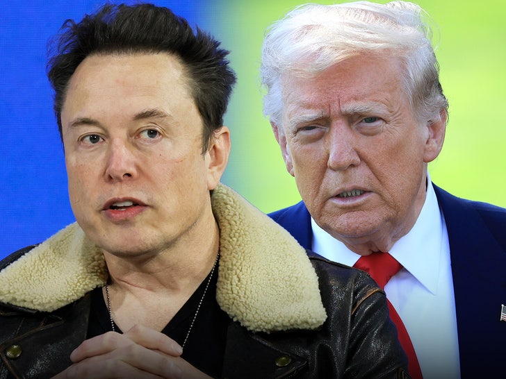 Elon Musk Deletes Epstein Publish, President Trump Turns Down Warmth