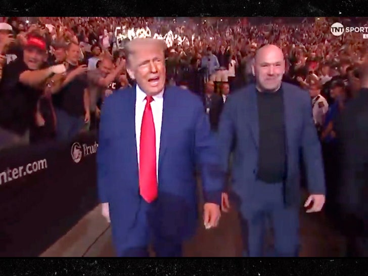 Donald Trump Attends UFC 316 With out Elon Musk After Week Of Sparring