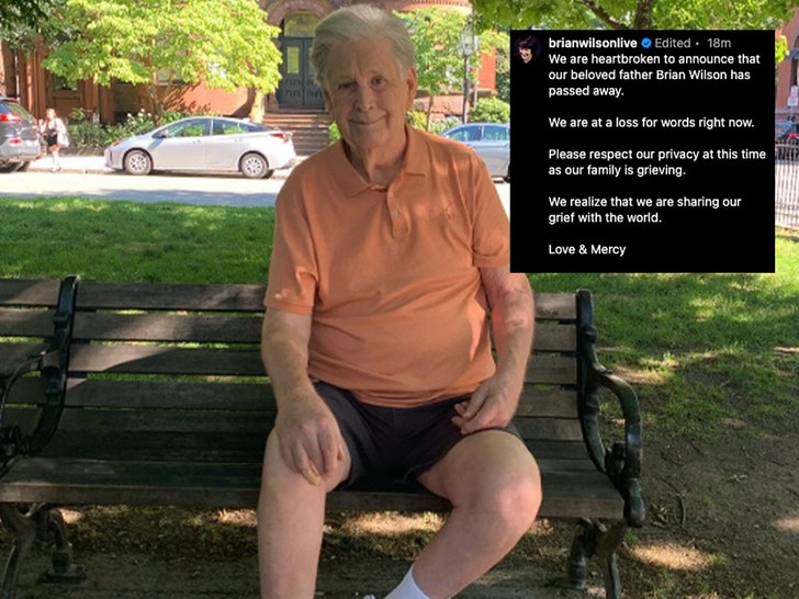 Seashore Boys Star Brian Wilson Lifeless at 82