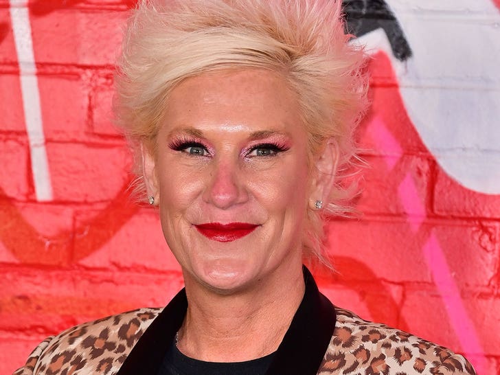 Anne Burrell’s Loss of life Being Investigated as Attainable Drug Overdose