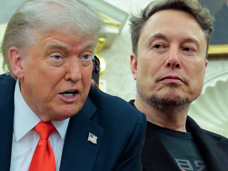 Elon Musk Nukes Donald Trump With Declare President’s in Epstein Recordsdata