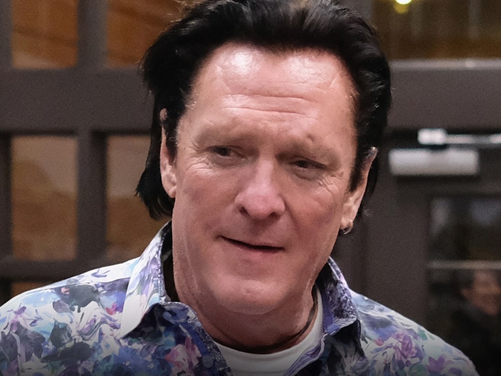 Michael Madsen’s Well being Was Cleared by Docs Simply Days Earlier than Demise