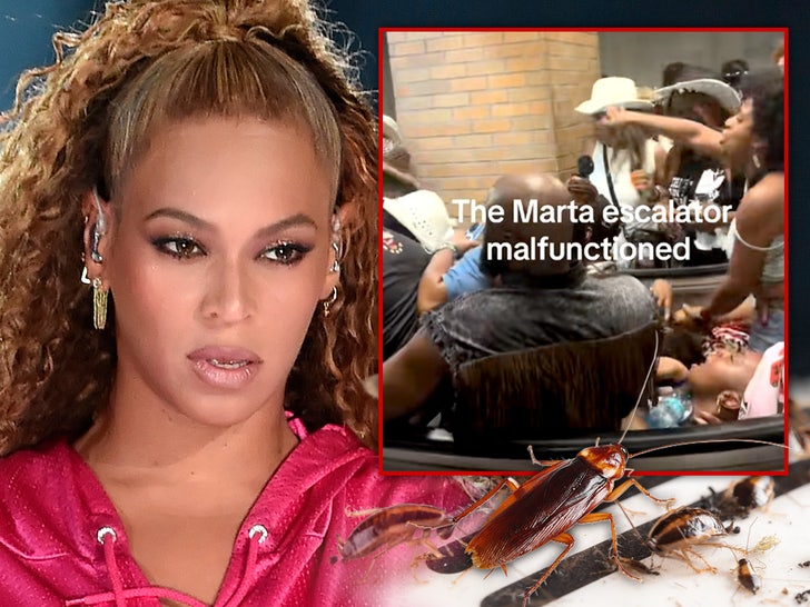 Younger Beyoncé Fan’s Insect Freak-Out at Live performance Sparks Panic, Stampede