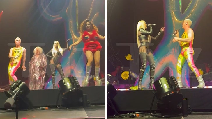 ‘RHOBH’ Erika Jayne Joins the Scissor Sisters Opening Act at Kesha Live performance