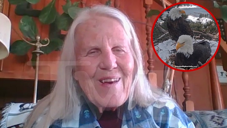 Wildlife Advocate Says Eaglets in Large Bear at Danger Due to 4th of July Fireworks