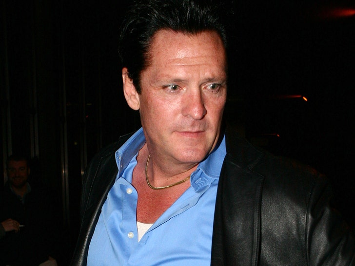 Michael Madsen Was Just lately Sober Earlier than Dying as He Battled Alcoholism
