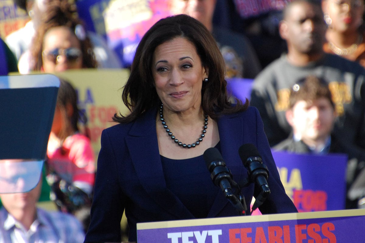 Kamala Harris says Biden reelection bid was ‘reckless,’ exposing White House tensions – Socialite Life